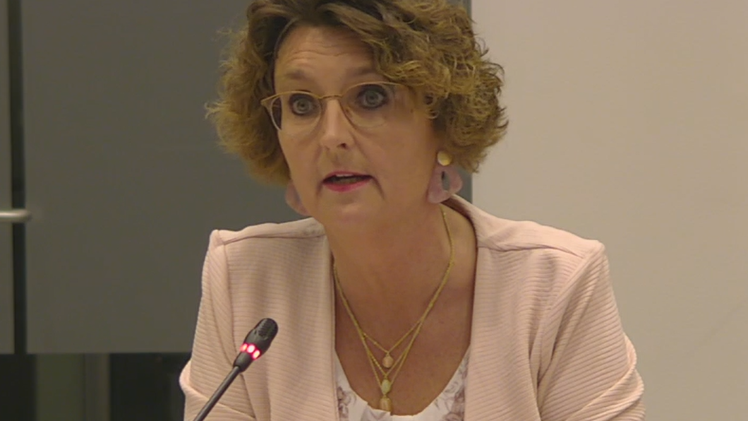 Alma tijdens duidingsdebat