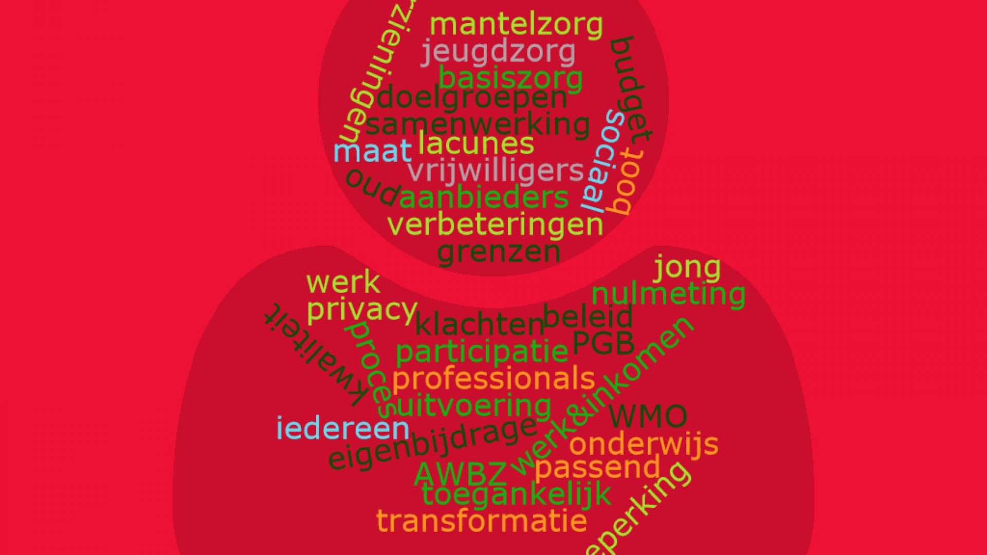 Evaluatie Sociaal Domein Transitiejaar 2015